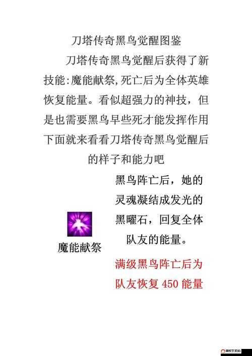 刀塔传奇英雄黑鸟攻略，黑鸟怎么洗练好